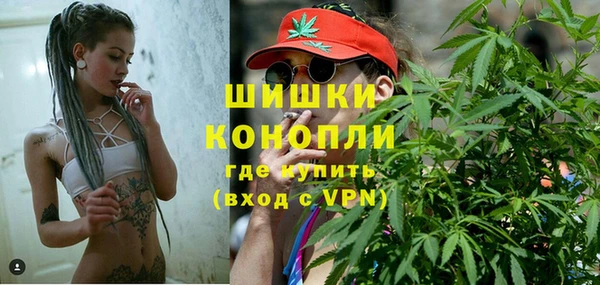 метадон Новодвинск
